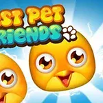 Tre gule, nuttede fugleansigter med store øjne under farverig tekst, der siger Best Pet Friends, på en blå baggrund med stråler