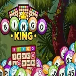 Farverig skovscene med bingo-kugler og kort samt teksten Bingo King på midten