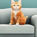 Orange kat sidder oprejst på en lysegrå sofa mod en turkis væg