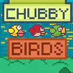 Tre farverige pixelated fugle flyver foran en bysilhuet med teksten Chubby Birds i baggrunden