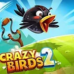 En sort fugl flyver gennem luften mod en lyserød gris på en grøn mark med en slangebøsse i baggrunden og teksten Crazy Birds 2