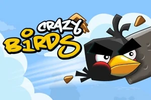 En sort, vred fugl skyder gennem luften med brækkede stykker omkring sig, ledsaget af teksten Crazy Birds på en lys blå himmel baggrund