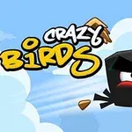 En sort, vred fugl skyder gennem luften med brækkede stykker omkring sig, ledsaget af teksten Crazy Birds på en lys blå himmel baggrund