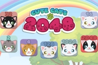 2048 med katte