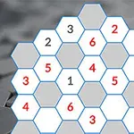 En sekssidet gitterformation med numre fra 1 til 6 i nogle af felterne