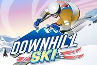 Skisport om vinteren