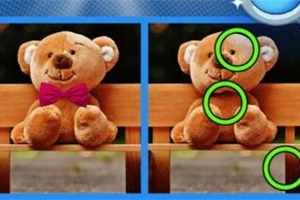 Billede af en bamse på en bænk med forskelle markeret i to næsten identiske billeder, omgivet af grønne cirkler