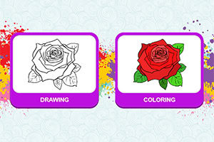 En sort-hvid tegning af en rose ved siden af en farvelagt rose på en farverig baggrund