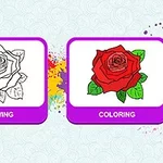 En sort-hvid tegning af en rose ved siden af en farvelagt rose på en farverig baggrund
