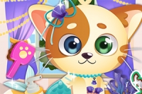 Miau! Lad os tage os af en herreløs, kær kattekilling!