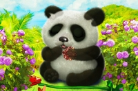 Pas på en sød panda i dette charmerende makeover-spil!