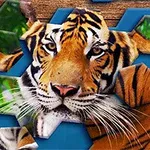 En tiger portrætteret i et puslespil med hexagonale brikker mod en blå baggrund