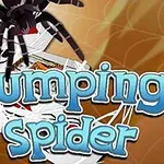 Springende edderkop over kort og tekst med titlen Jumping Spider i forgrunden