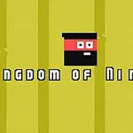 En pixeleret firkantet ninja med rødt og sort bånd er placeret centralt på en gul baggrund med teksten Kingdom of Ninja 2