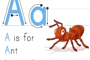 Store og små bogstaver A ved siden af en tegnet myre og teksten A is for Ant