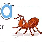 Store og små bogstaver A ved siden af en tegnet myre og teksten A is for Ant