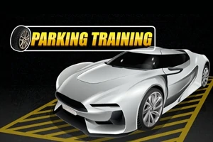 Sølvfarvet sportsbil parkeret på skraveret gult felt med teksten Parking Training i baggrunden