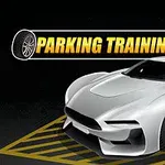Sølvfarvet sportsbil parkeret på skraveret gult felt med teksten Parking Training i baggrunden