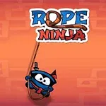 Tegning af en blå, maskeret ninja i sort tøj, der hænger i et reb på en orange baggrund med teksten Rope Ninja øverst