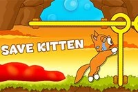 Katastrofe! Vrede Tom-kat lokkede killinger ind i sit tårn