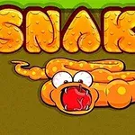 Orange slange med store øjne og åben mund under teksten SNAKE i store bogstaver
