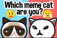 Find din meme-kat: Emoji-quiz