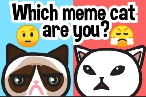 To tegneseriekatte med forskellige udtryk på en todelt blå og rød baggrund med teksten Which meme cat are you?