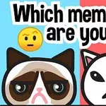 To tegneseriekatte med forskellige udtryk på en todelt blå og rød baggrund med teksten Which meme cat are you?