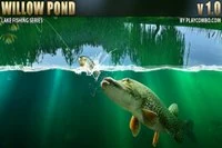 Willow Pond er en farverig fiskesimulator