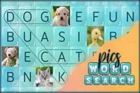 Word Search Pictures, puslespillet for ordmestre!